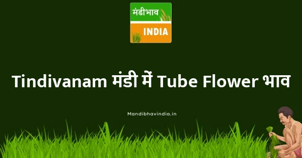 Tube Flower भाव